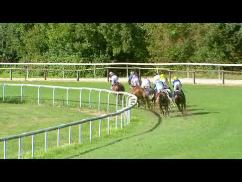 Dielsdorf 15 08 2020 Preis der Partner der Horse Park Zurich Dielsdorf AG