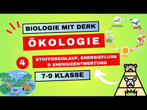 Ökologie | 4 | Stoffkreislauf, Energiefluss & Energieentwertung | 7 - 9 Klasse