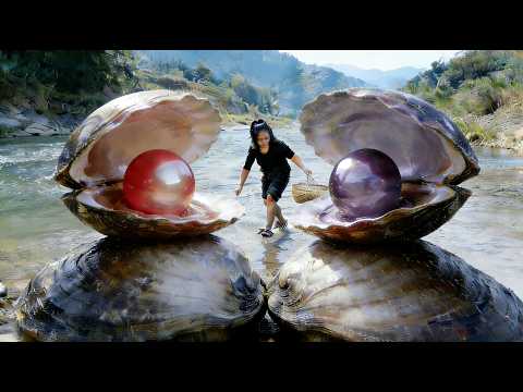 The girl was surprised to find two clams arguing. Which pearl is the most beautiful