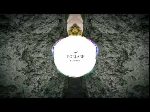 Wizard - Reborn (feat. Alive Muzik & Jetsam)