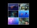 Finding Nemo 2 Disc Collector S Edition DVD