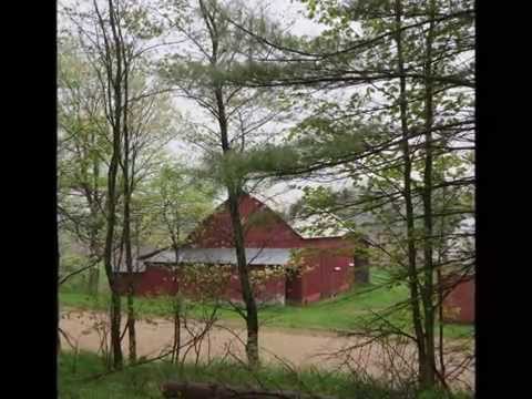 Old Country Barn on a Rainy Springtime Morning all in Bloom