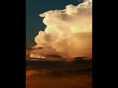 Calming Harp Radio #137