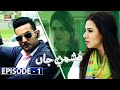 Dushman-e-Jaan Episode 1 [Subtitle Eng] | 1st June 2020 | ARY Digital