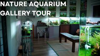Nature Aquarium Gallery Tour | Spring 2026