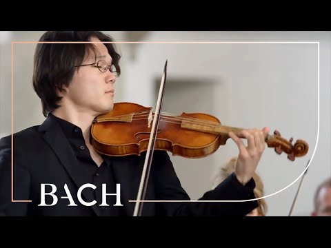 Bach - Erbarme dich from St Matthew Passion BWV 244 | Netherlands Bach Society