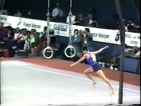 1993 World Gymnastics Championships - Men's Individual Apparatus Finals (USAG HV)