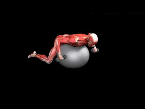 Упражнение пугало с гантелями на фитболе (Stability Ball Dumbbell Scarecrow) - Ru
