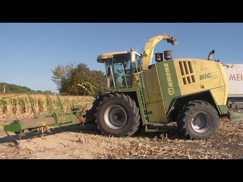 Mais häckseln mit Krone Big X 1100 in Westeregeln