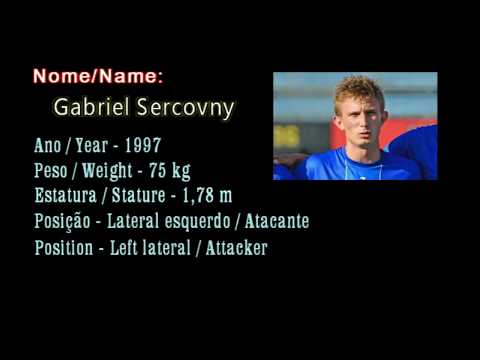 Gabriel Sercovny - Seleção de lances temporada 2017