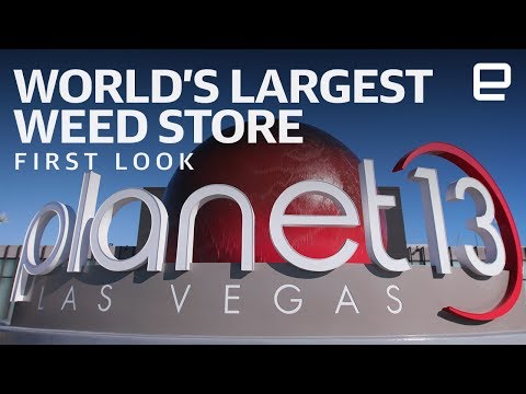 Inside the World's Largest Marijuana Dispensary at CES 2019