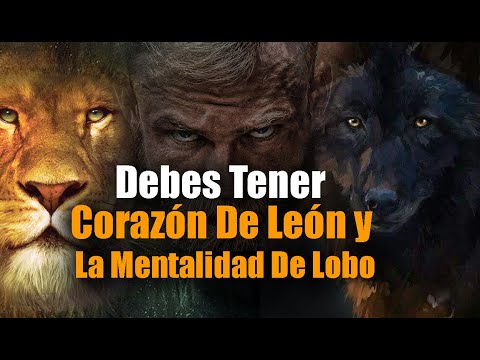 El Mejor Consejo Que Podrás Escuchar En Tu Vida, Debes Tener Corazón de León y Mentalidad de Lobo