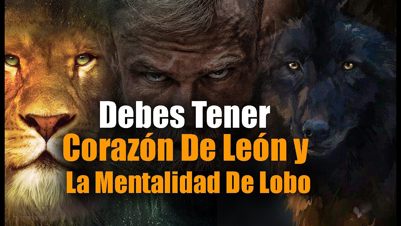El Mejor Consejo Que Podrás Escuchar En Tu Vida, Debes Tener Corazón de León y Mentalidad de Lobo