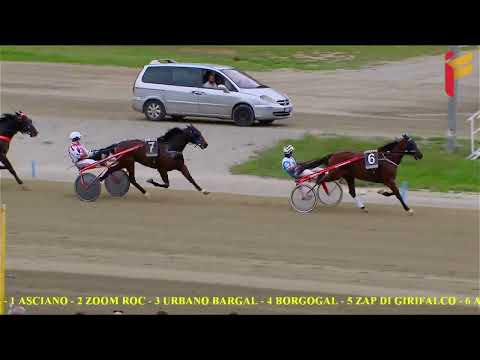 VI corsa del 12 ottobre 2022 - 3 Anni Femmine - Metri 1600