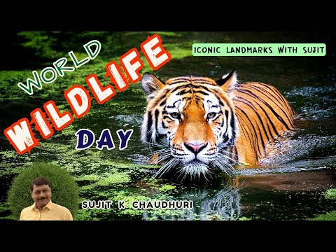 World Wildlife Day|An Informative Story|Sujit Kr Chaudhuri|