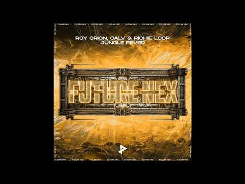 |Electro House/Big Room| Roy Orion x Calv & Richie Loop - Jungle Fever (Extended Mix)