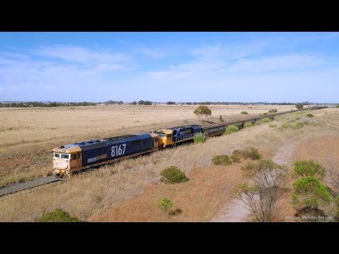 7732V Pacific National Grain Train With 8167 & XR559  (4/1/2025) - PoathTV Railway