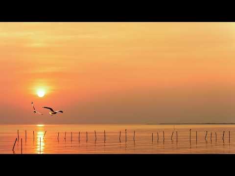 Isaac B. Cole — Never Too Far | Sessions on the Green