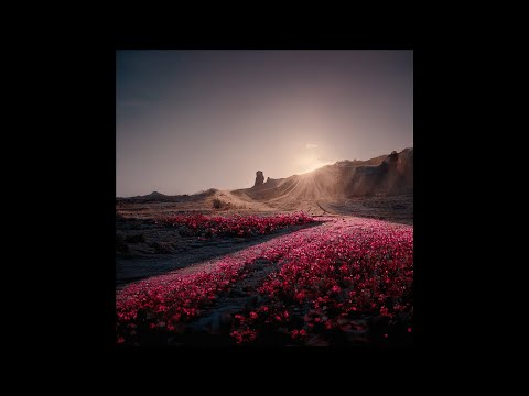 (SOLD) Zamdane Type Beat - "Là-bas"