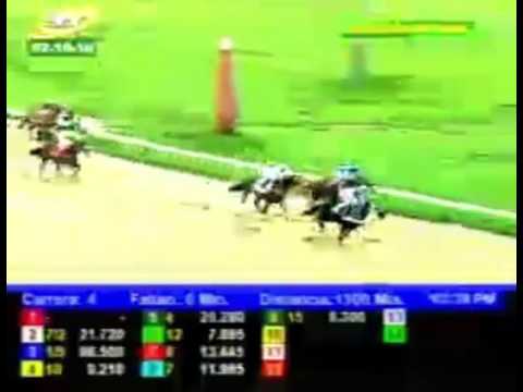 VALENCIA 4 CARRERA, VIERNES 02 DE OCTUBRE DEL 2015