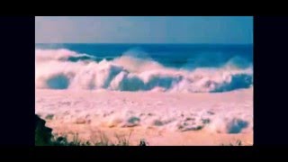 Cocteau Twins   Sea, Swallow Me