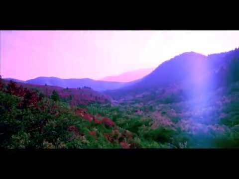 Spooky Black - Forest Sounds