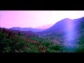 Spooky Black Forest Sounds