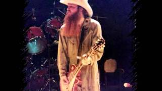 ZZ-Top - Have you Heard?