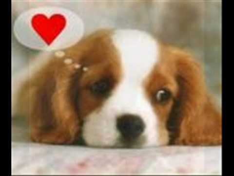 Ines  Ma ei tea mis juhtuks