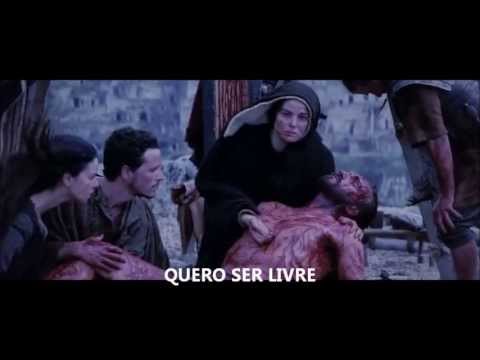 Livre - André Augusto