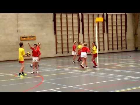 23-01-2016 Flamingos-D2 - DTS-D1