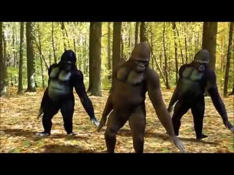 [4Minute] WhatCha Doin' Today? (Gorilla Dance)