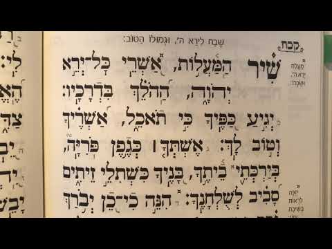 Tehillim psalm 128