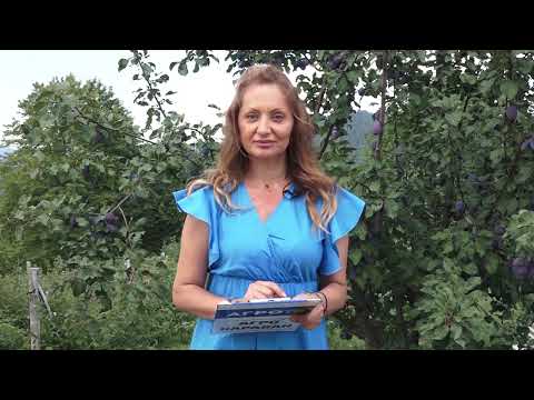 Agro karavan ep.239 - Rudno - 07.08.2022.