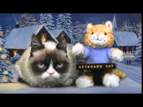 Keyboard Cat Meets Grumpy Cat! Video