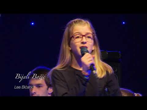 7. humanitarni Božićni koncert  - 2017