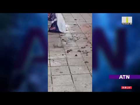 Hartazgo en Lamadrid al 300: vecinos exponen un peligroso brote de líquidos cloacales