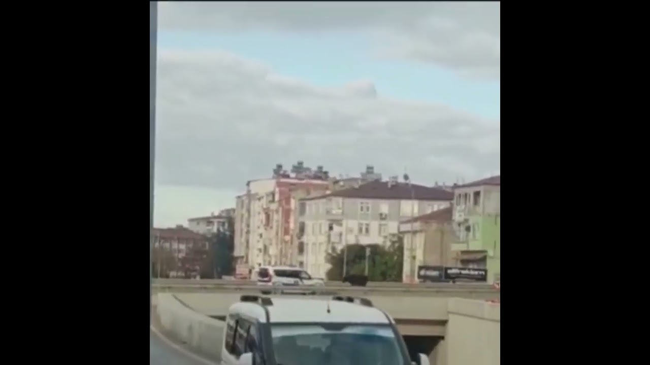 Zabıtanın Sahipsiz Büyükbaş Hayvan İle Sınavı
