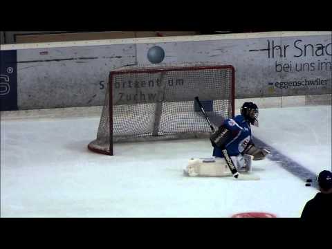 Ice Hockey Training Goalie