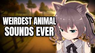VTubers Make Absurd Animal Noises to Fool the Hunter in Hilarious Hide Game | Natsuiro Matsuri