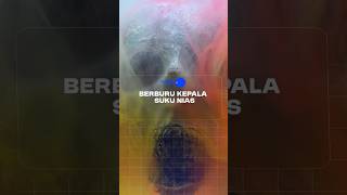 Download lagu Berburu kepala suku Nias #kepulauannias #tradisi #indonesia #sukunias #papua #dayak #berburu #ritual mp3