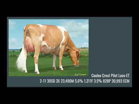 2020 American Guernsey Association National Awards Presentation