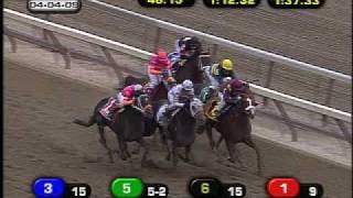 2009 Wood Memorial (G1) - I Want Revenge