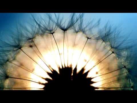 Seba & Paradox ft. Kirsty Hawkshaw - The Light