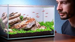 This Aquarium was Dying! I had 24 Hours to Save It!