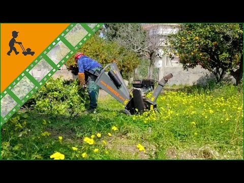 Biotrituratore a scoppio Wortex D200 L con motore benzina Loncin 196 cc: prodotto in azione