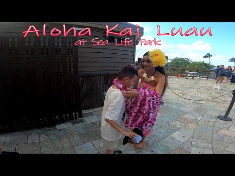 Aloha Kai Luau at Sea Life Park ( Oahu Hawaii) ) | Travel Vlog