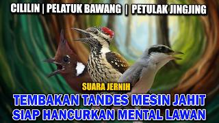 Download lagu MASTERAN TEMBAKAN TANDES CEPAT MASUK PETULAK JINFJINF CILILIN PELATUK BAWANG mp3 Download lagu MASTERAN TEMBAKAN TANDES CEPAT MASUK PETULAK JINFJINF CILILIN PELATUK BAWANG mp3