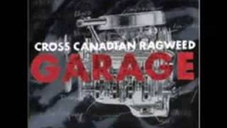 Dimebag - Cross Canadian Rag Weed - Garage album