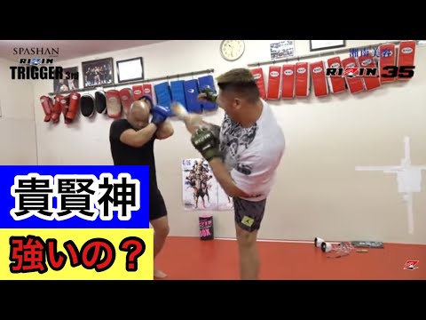 【格闘技講座3】貴賢神の強さとカウンターの防ぎ方【RIZIN 切り抜き】